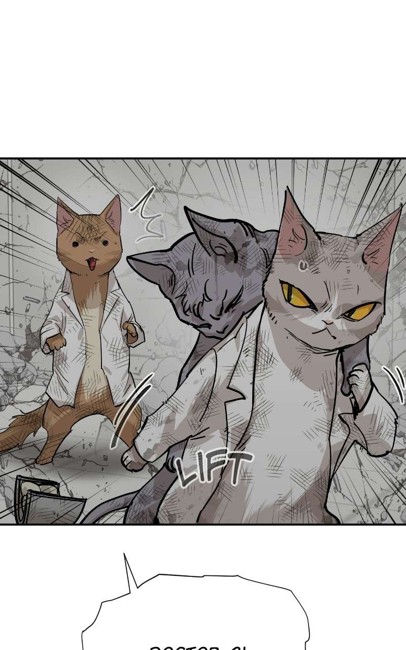 Read Meow Rangers Manga Online