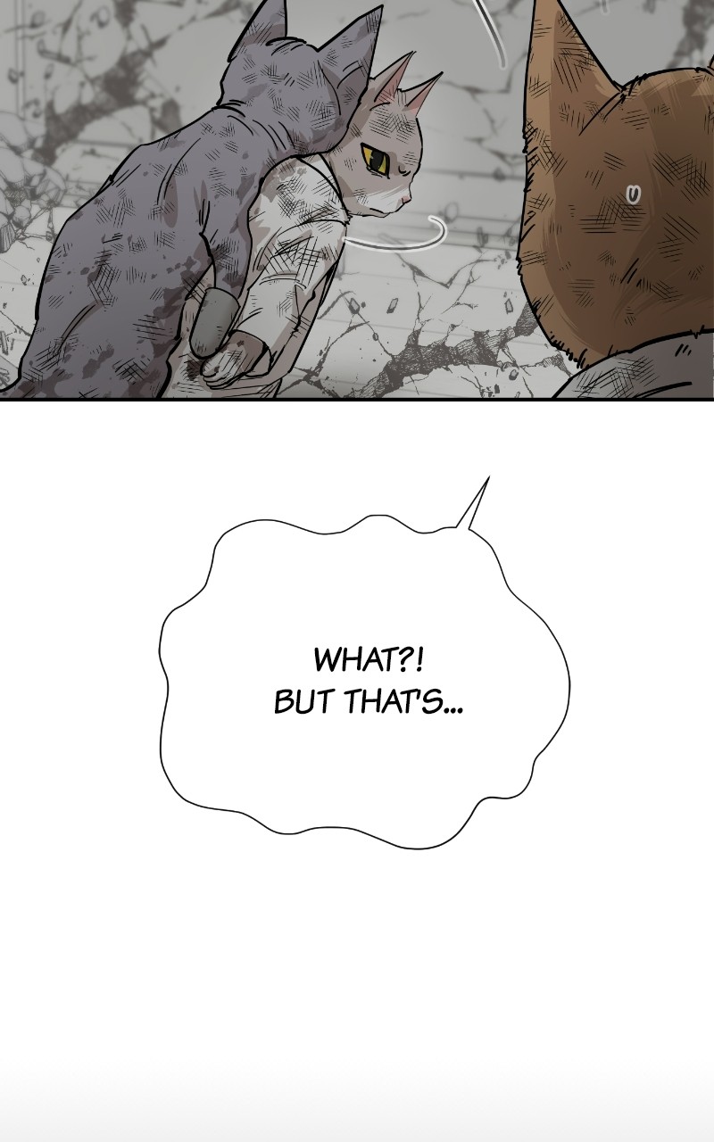 Read Meow Rangers Manga Online