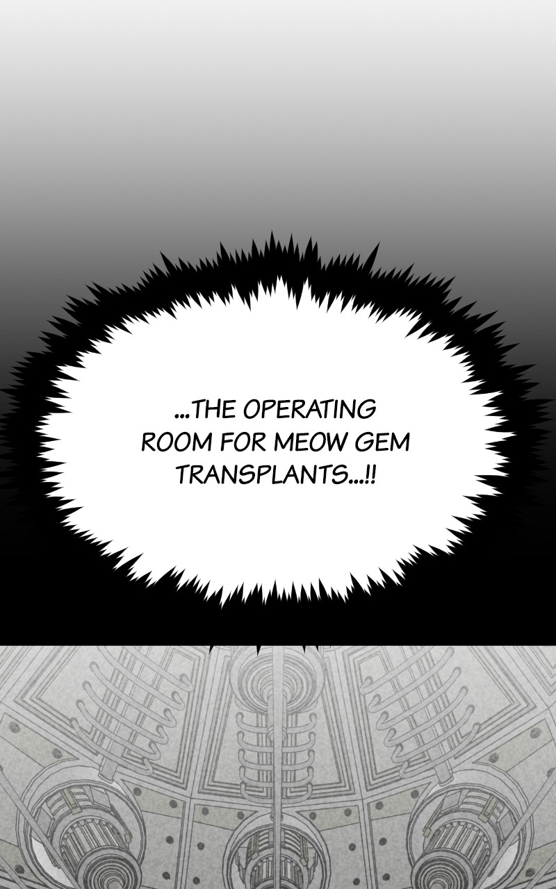 Read Meow Rangers Manga Online