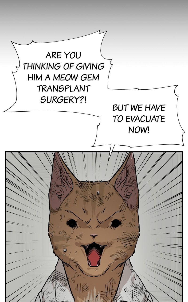 Read Meow Rangers Manga Online