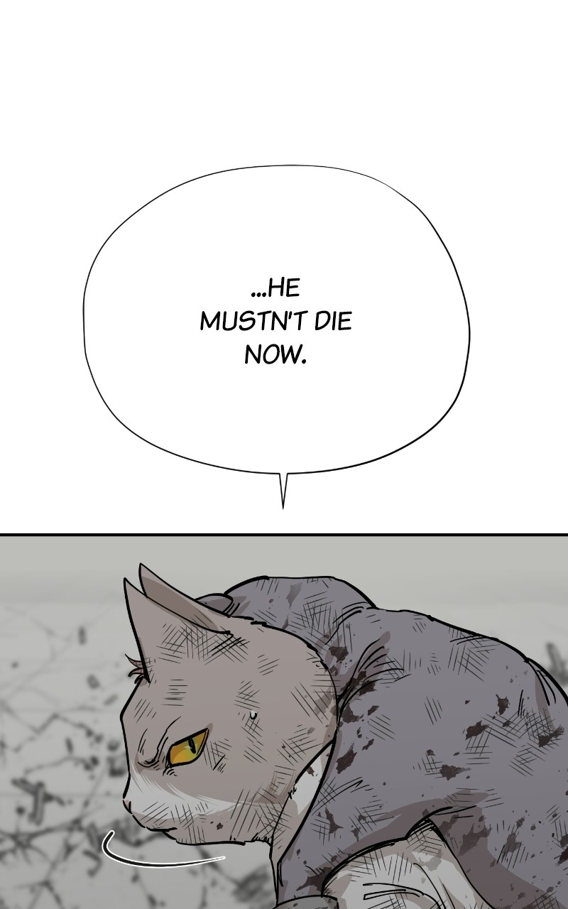 Read Meow Rangers Manga Online