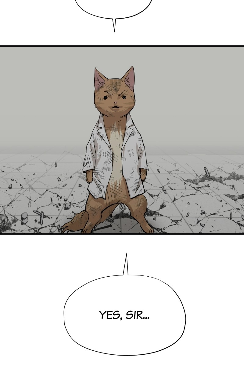 Read Meow Rangers Manga Online