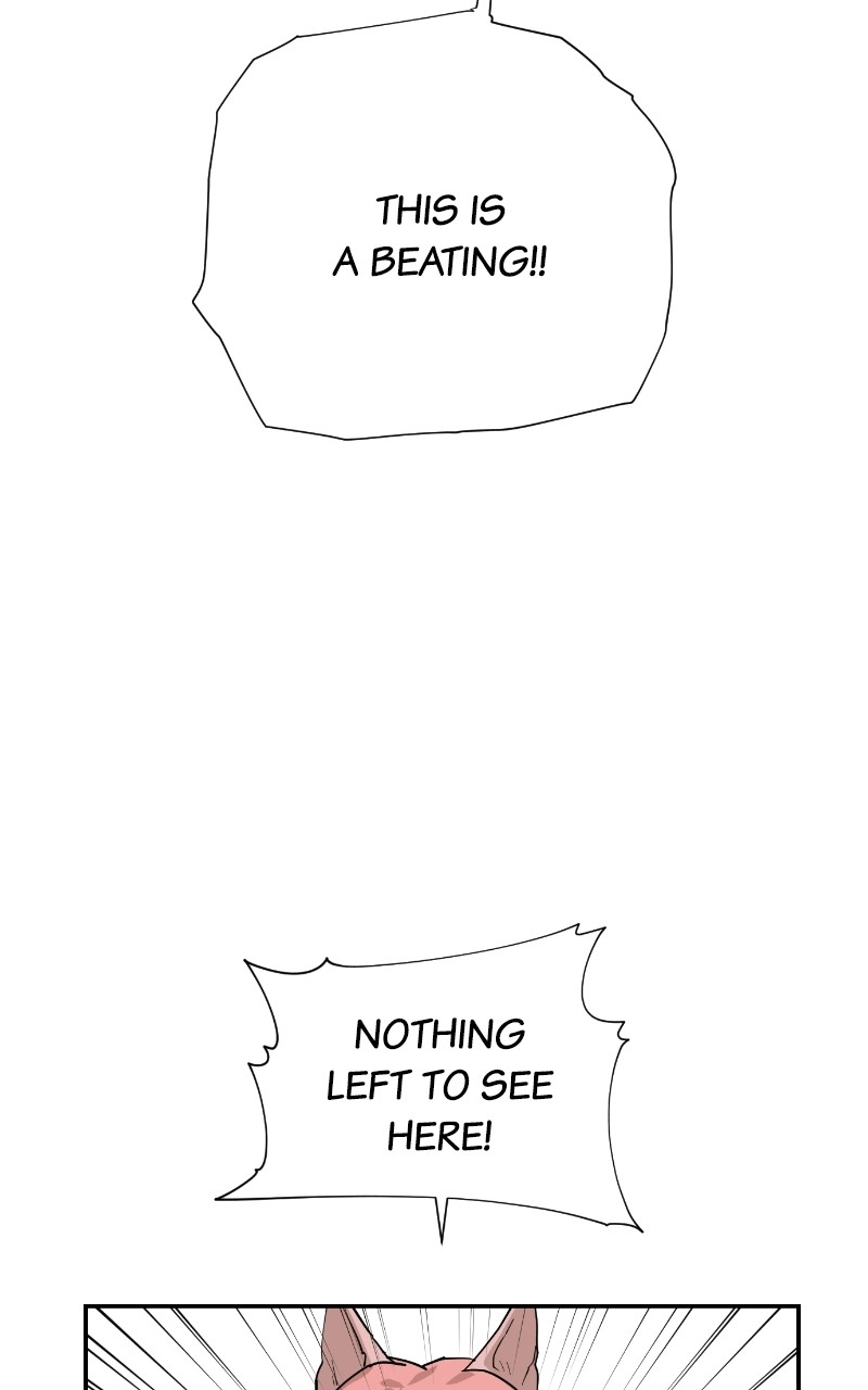 Read Meow Rangers Manga Online