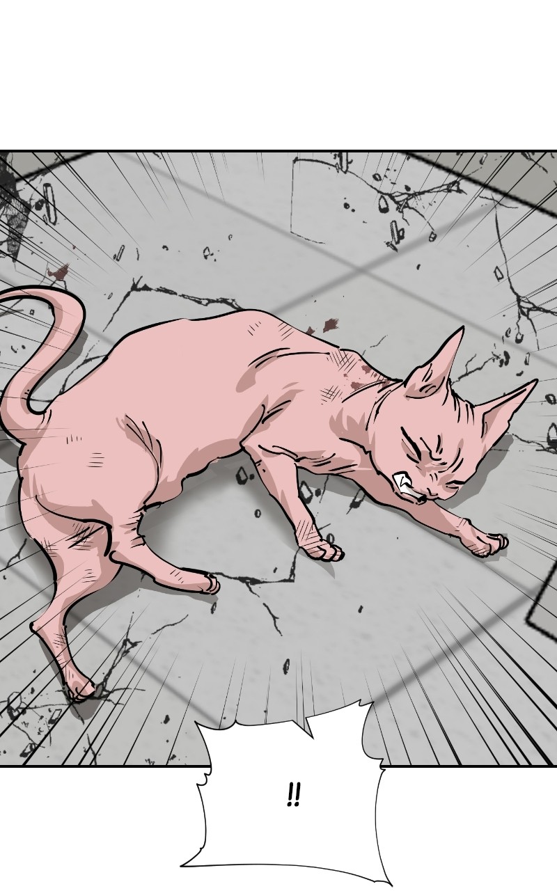 Read Meow Rangers Manga Online