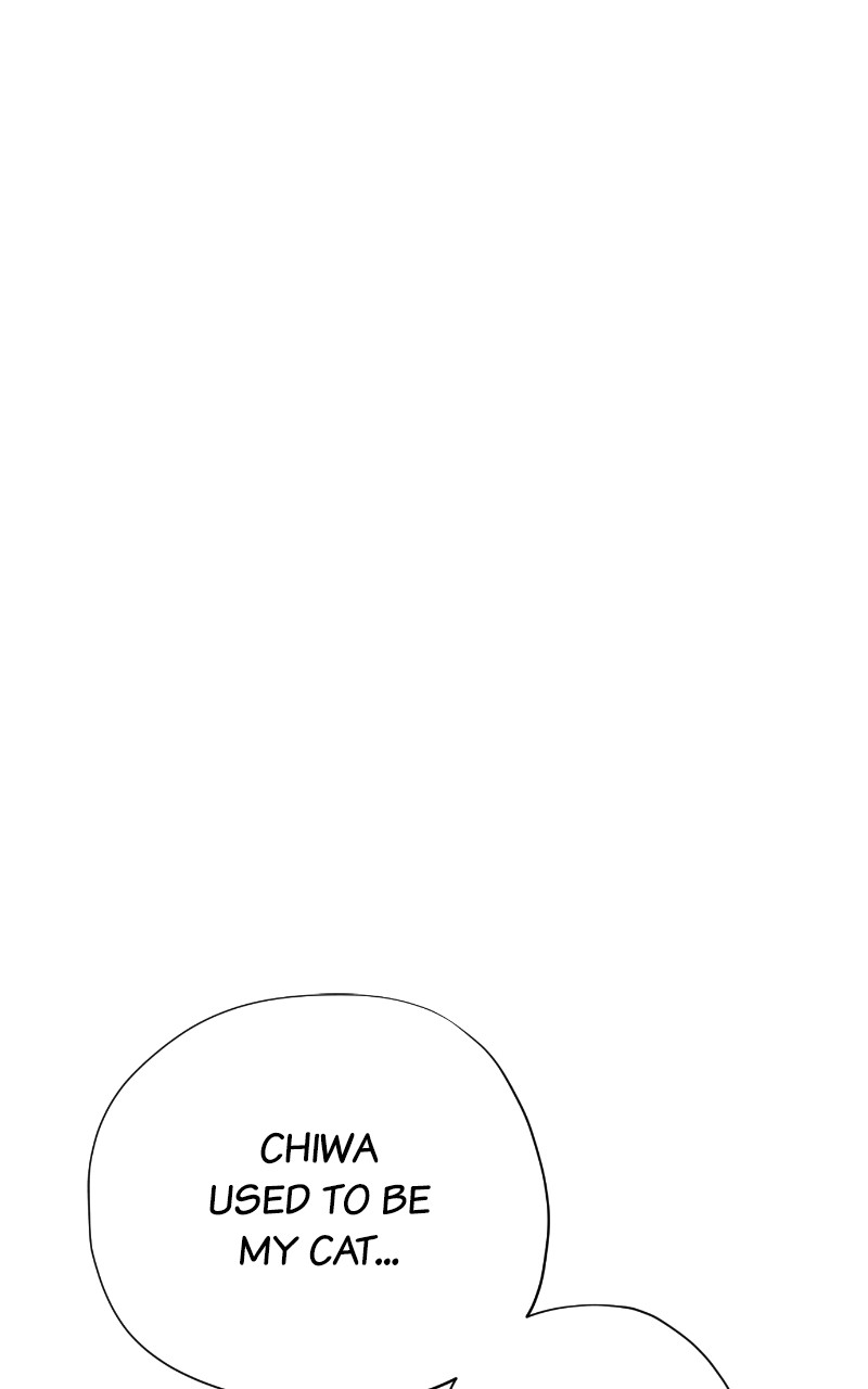 Read Meow Rangers Manga Online