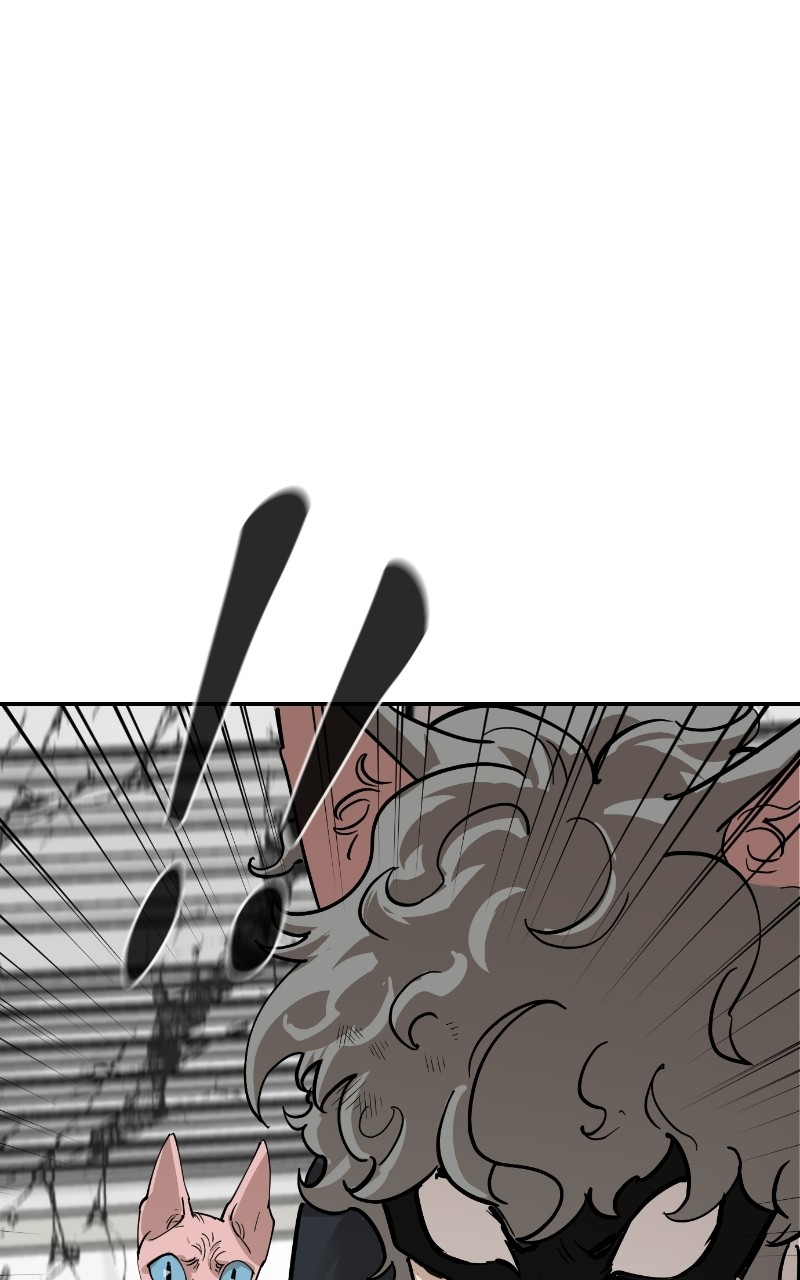 Read Meow Rangers Manga Online