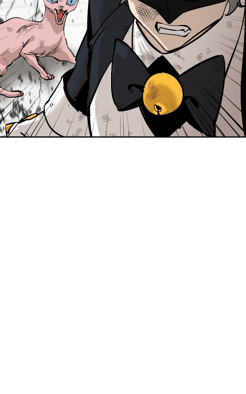 Read Meow Rangers Manga Online