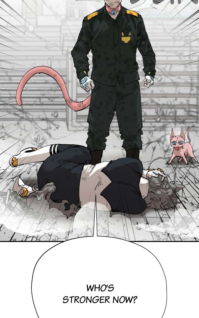 Read Meow Rangers Manga Online