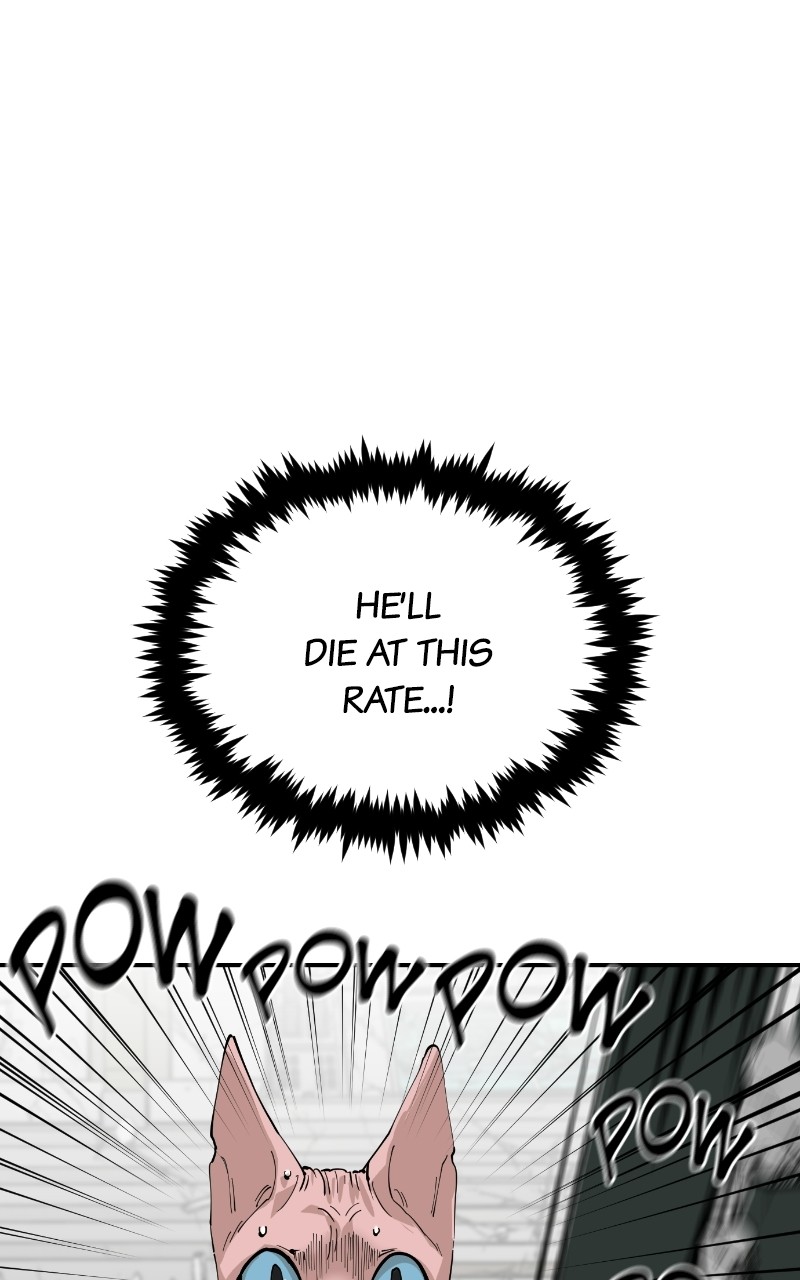 Read Meow Rangers Manga Online