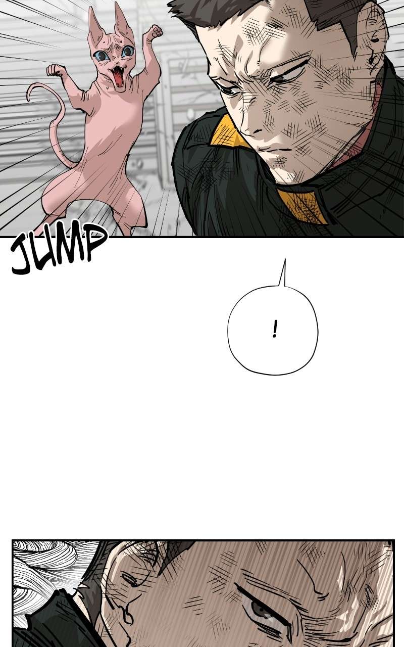 Read Meow Rangers Manga Online