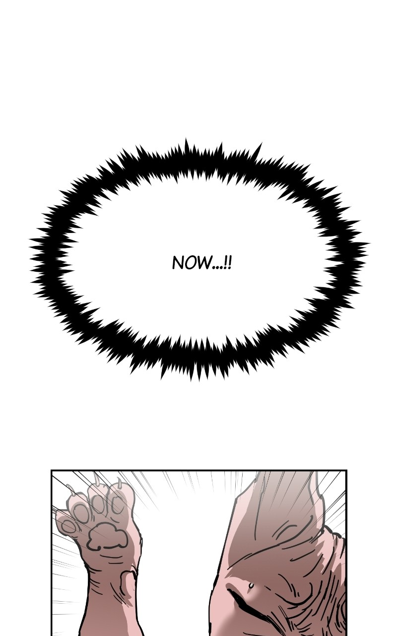 Read Meow Rangers Manga Online