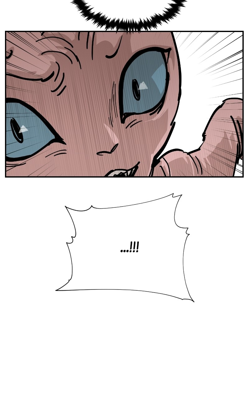 Read Meow Rangers Manga Online