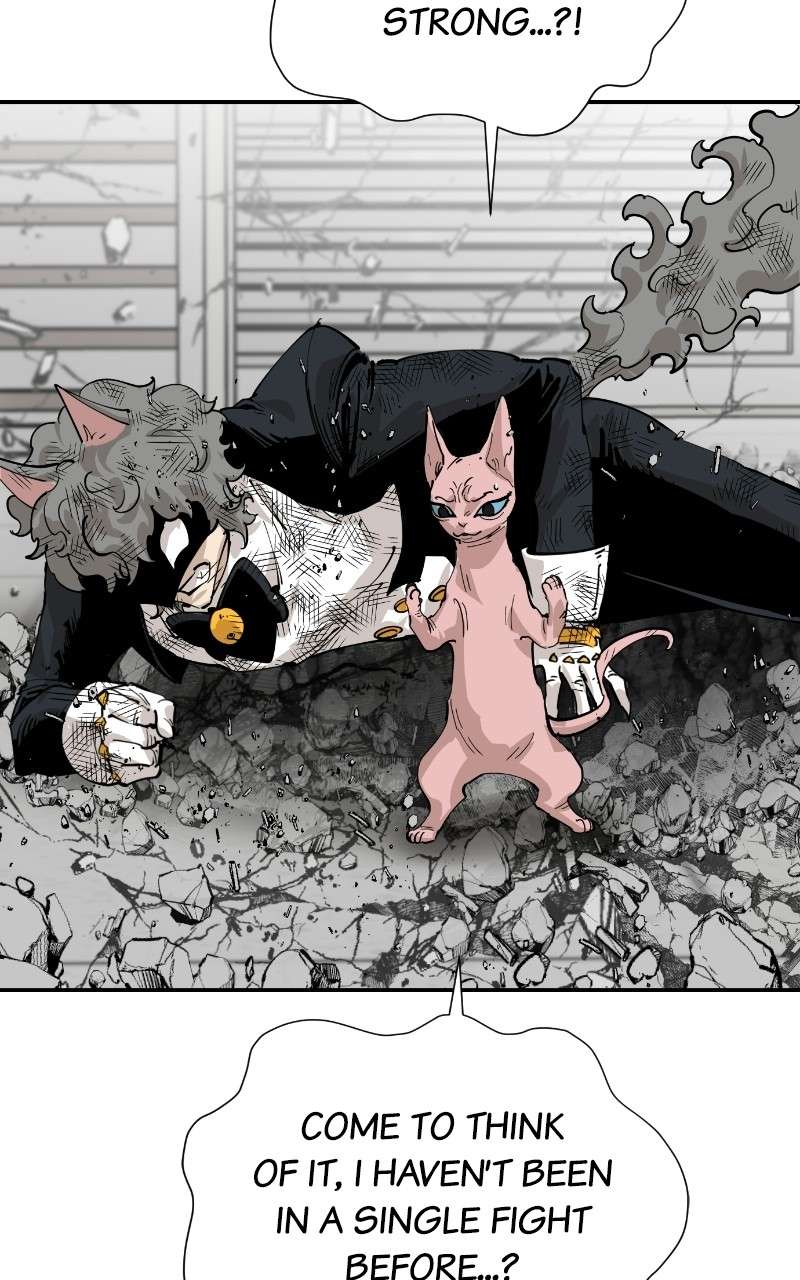 Read Meow Rangers Manga Online