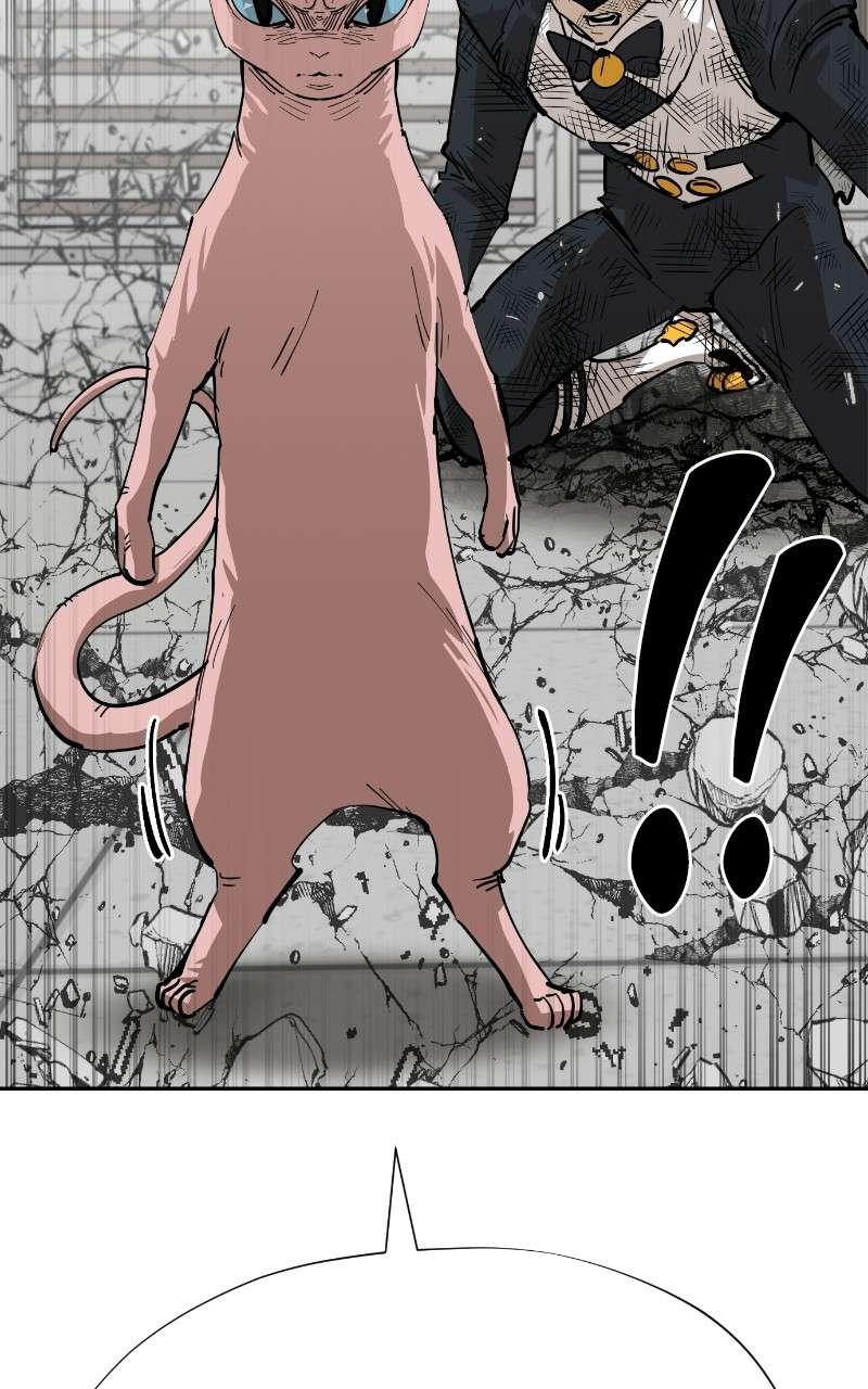 Read Meow Rangers Manga Online