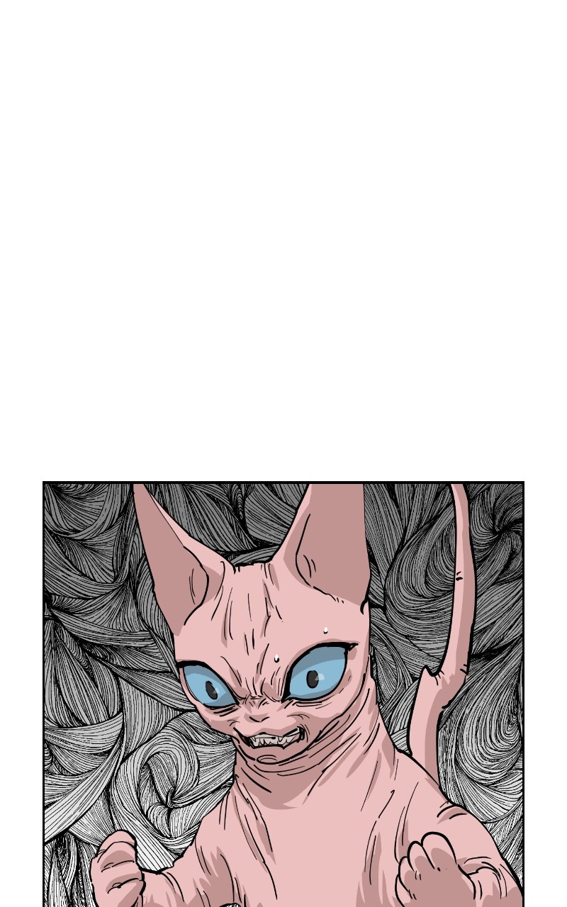 Read Meow Rangers Manga Online