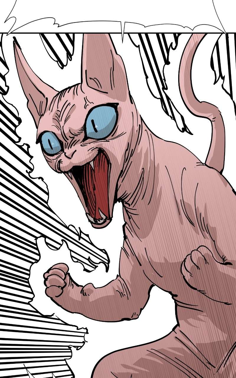 Read Meow Rangers Manga Online