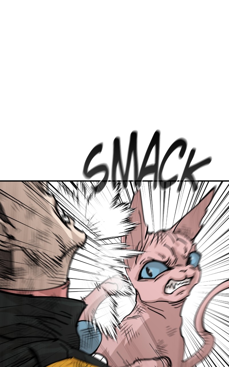 Read Meow Rangers Manga Online