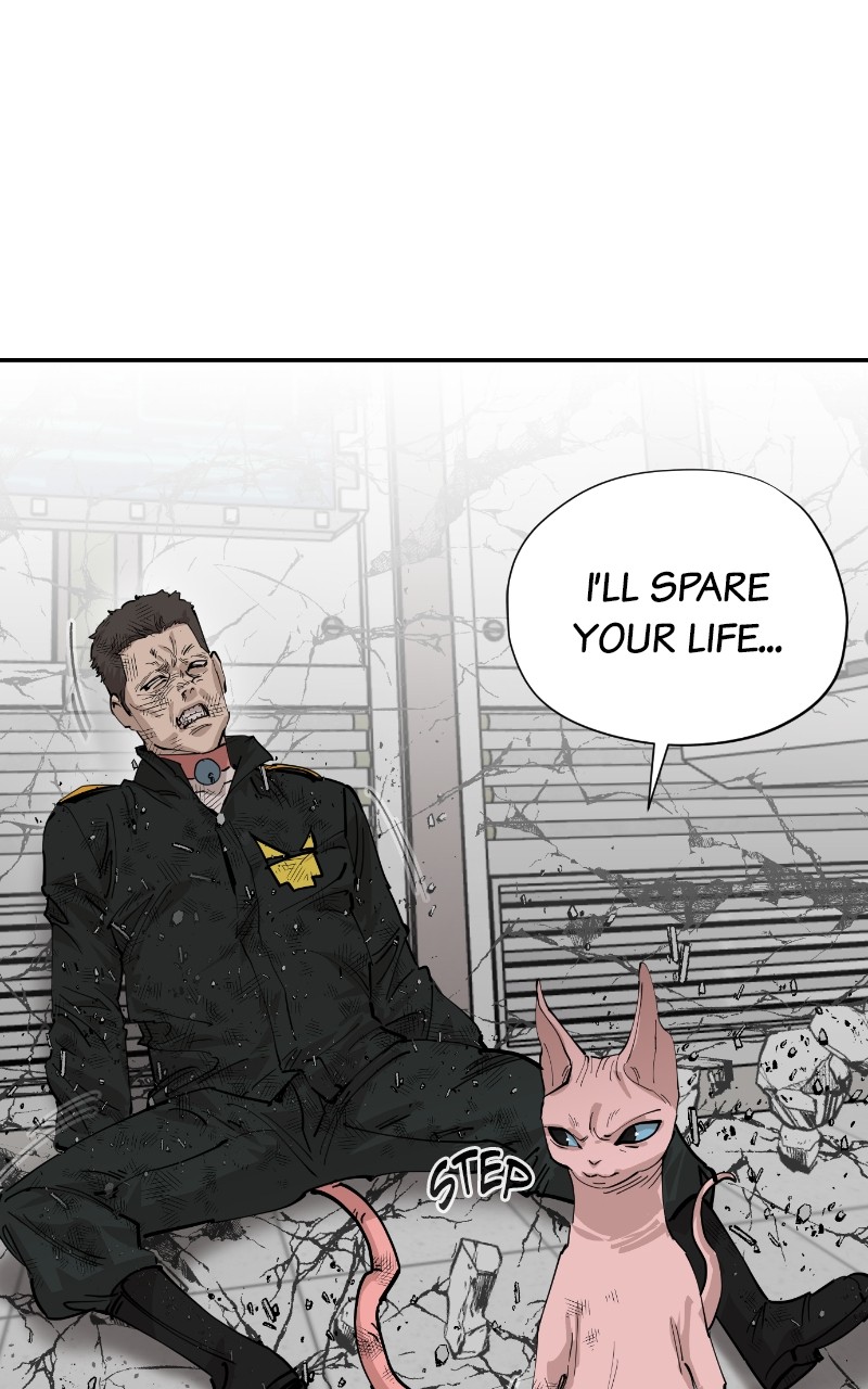 Read Meow Rangers Manga Online