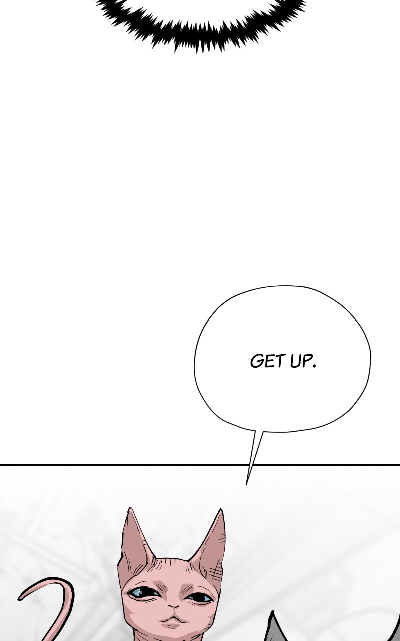 Read Meow Rangers Manga Online