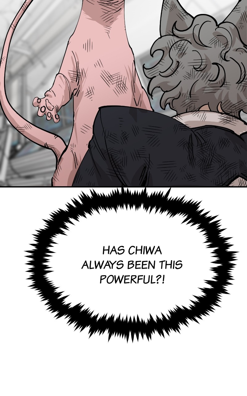 Read Meow Rangers Manga Online