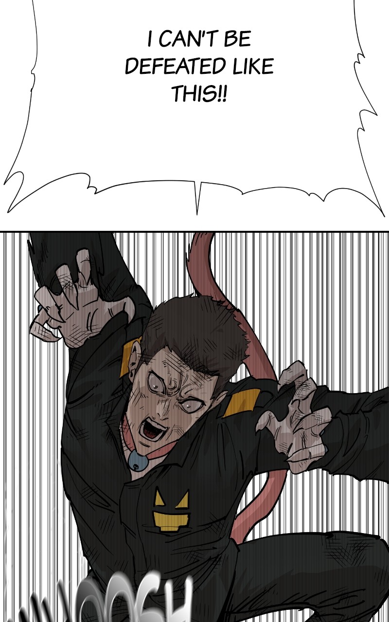 Read Meow Rangers Manga Online