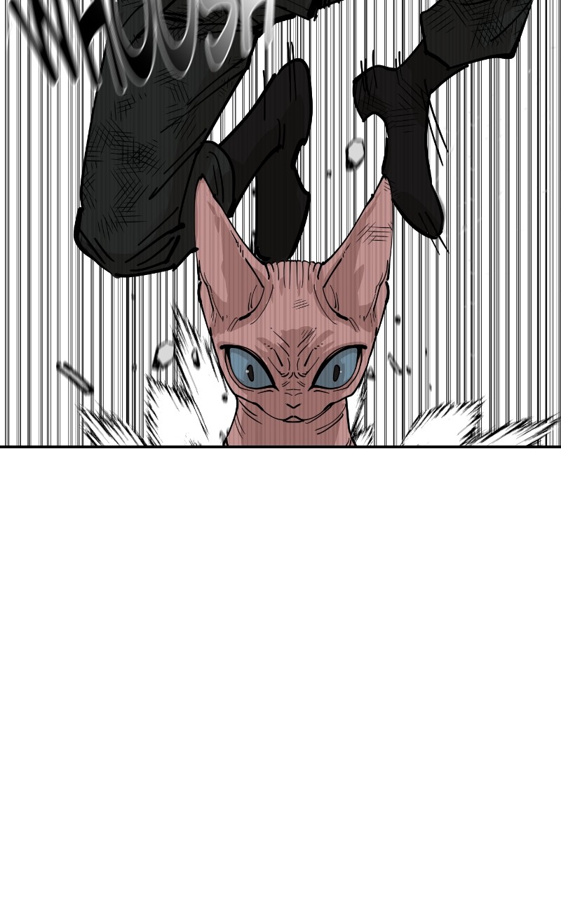 Read Meow Rangers Manga Online