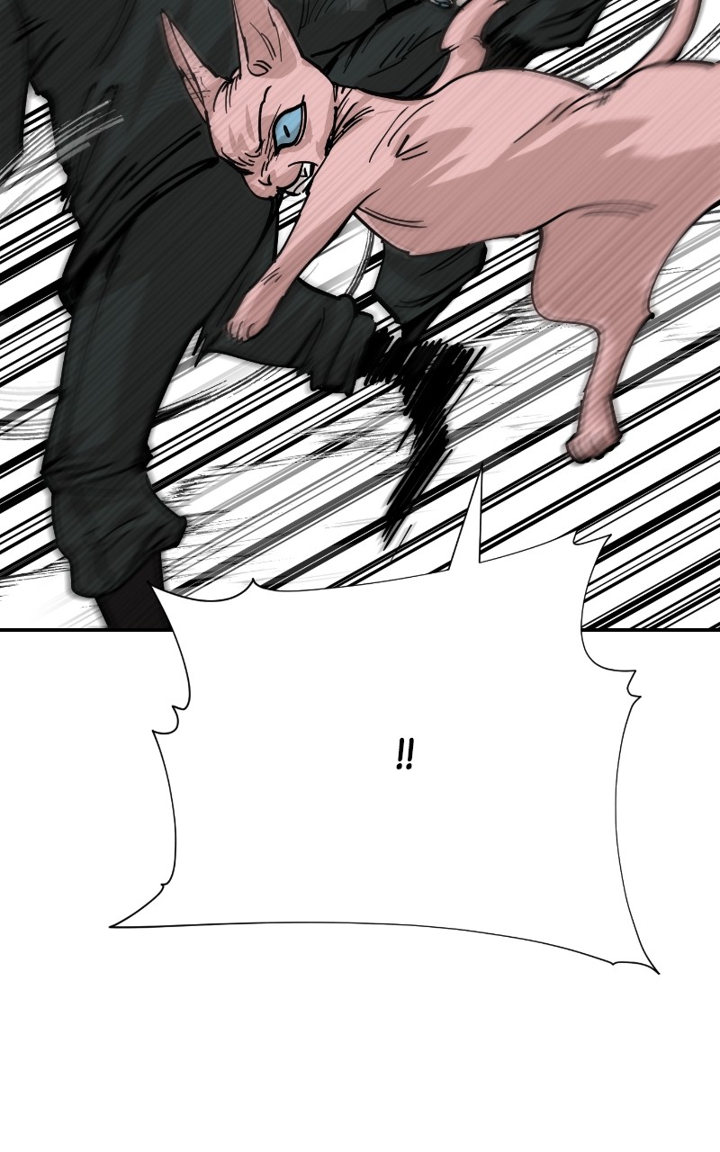 Read Meow Rangers Manga Online