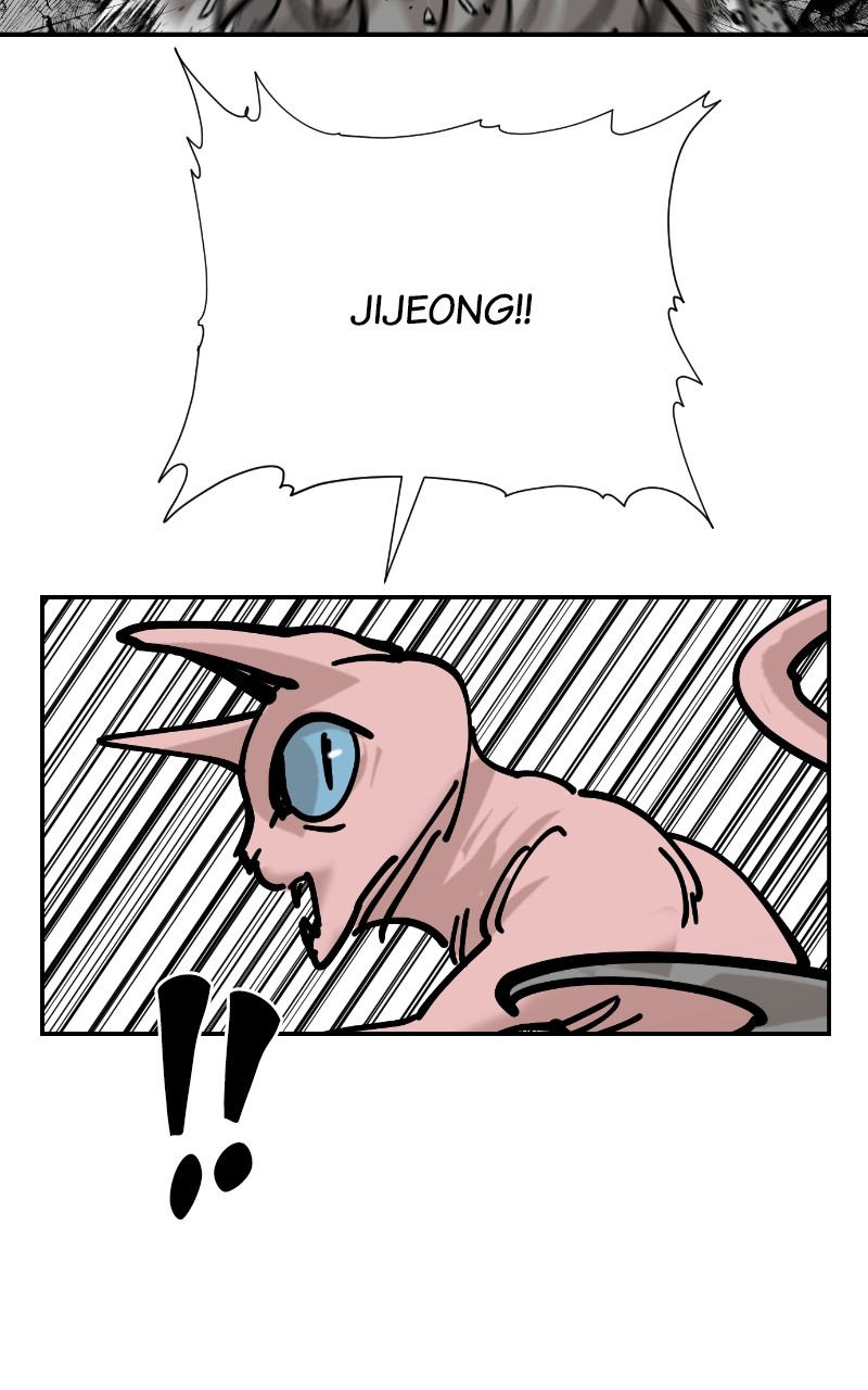 Read Meow Rangers Manga Online