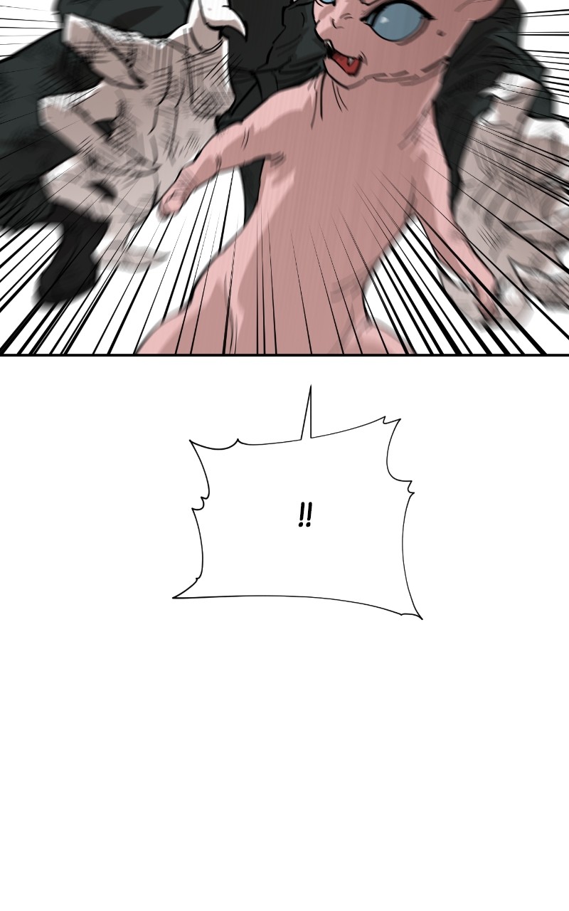 Read Meow Rangers Manga Online