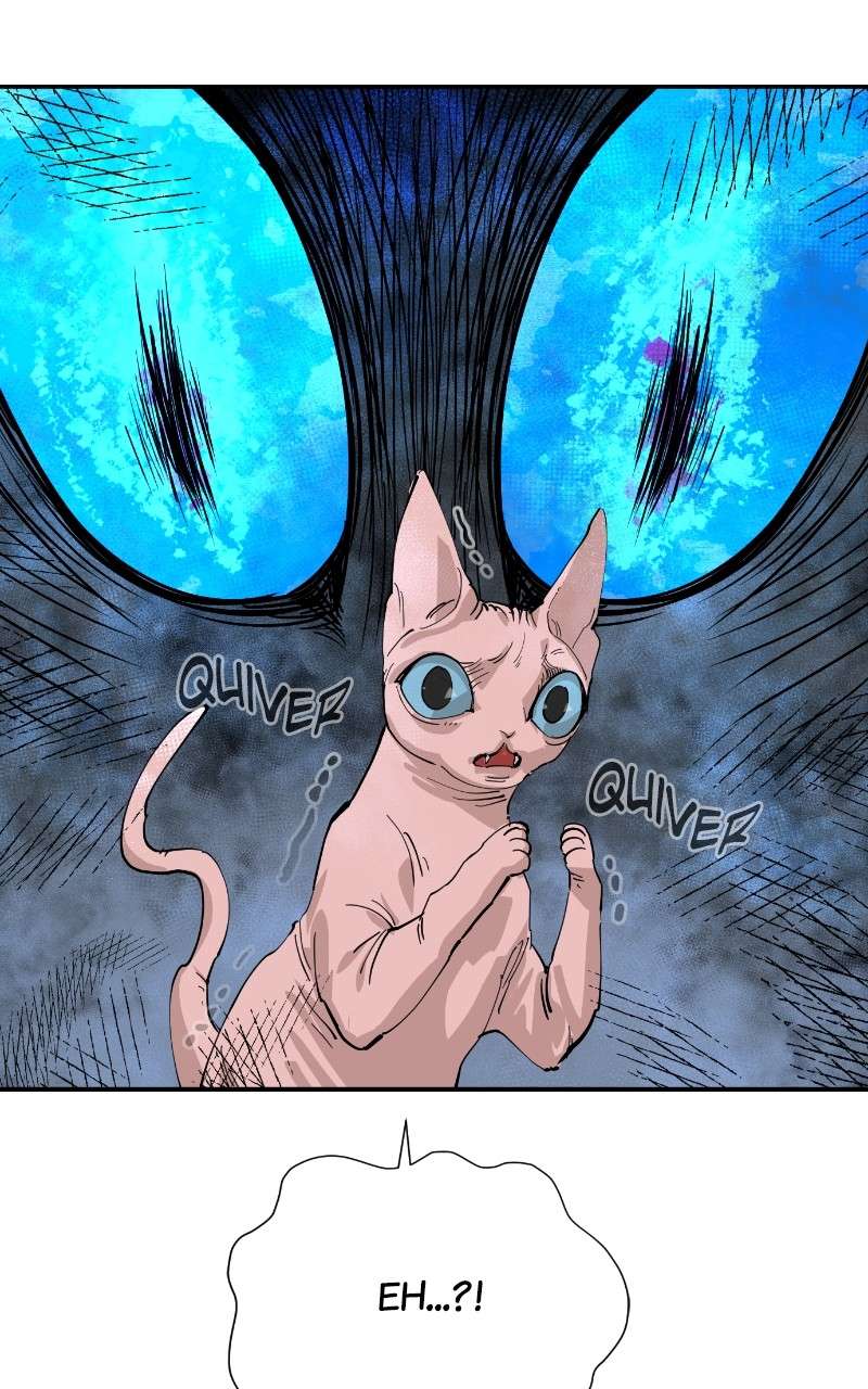 Read Meow Rangers Manga Online