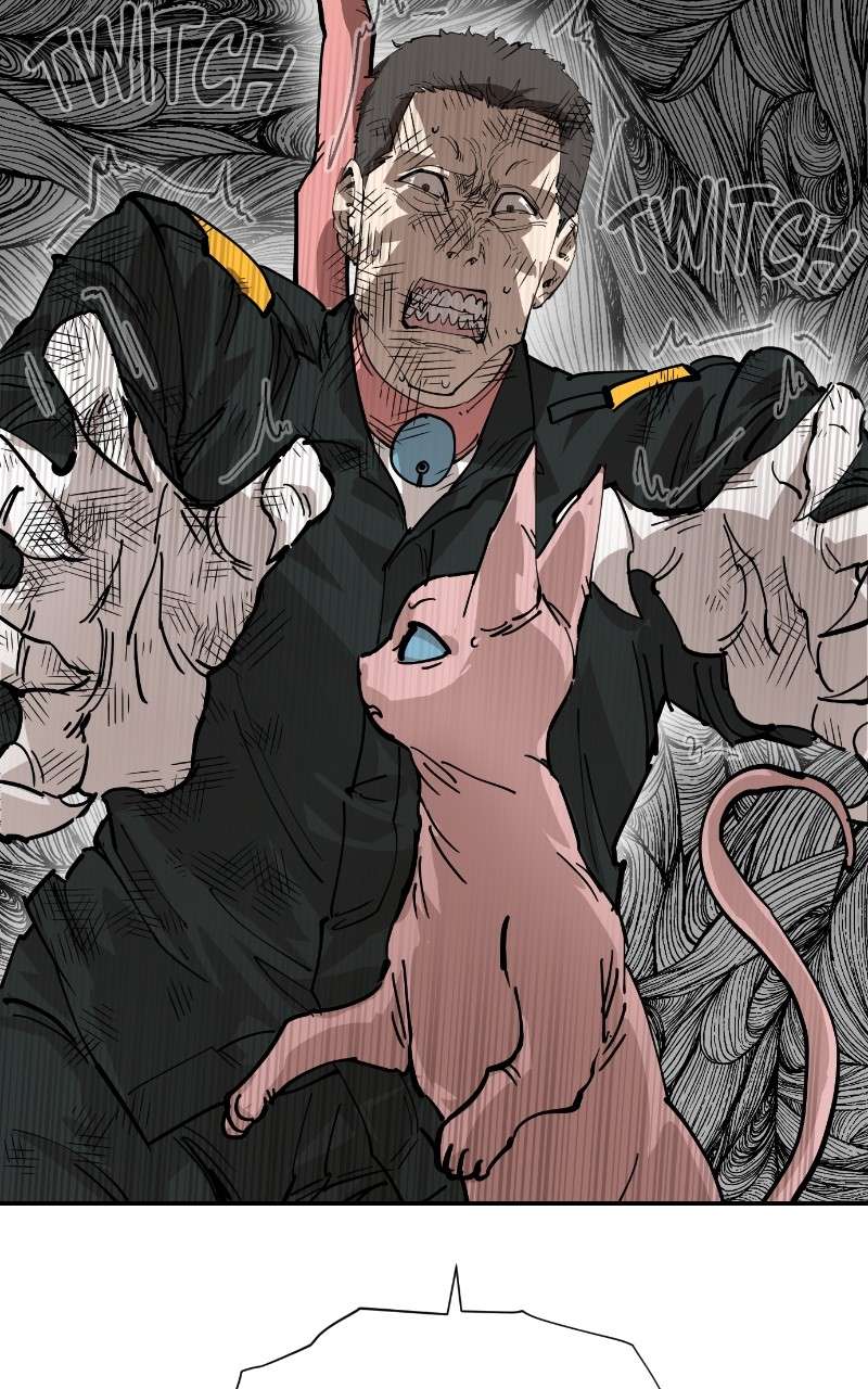 Read Meow Rangers Manga Online