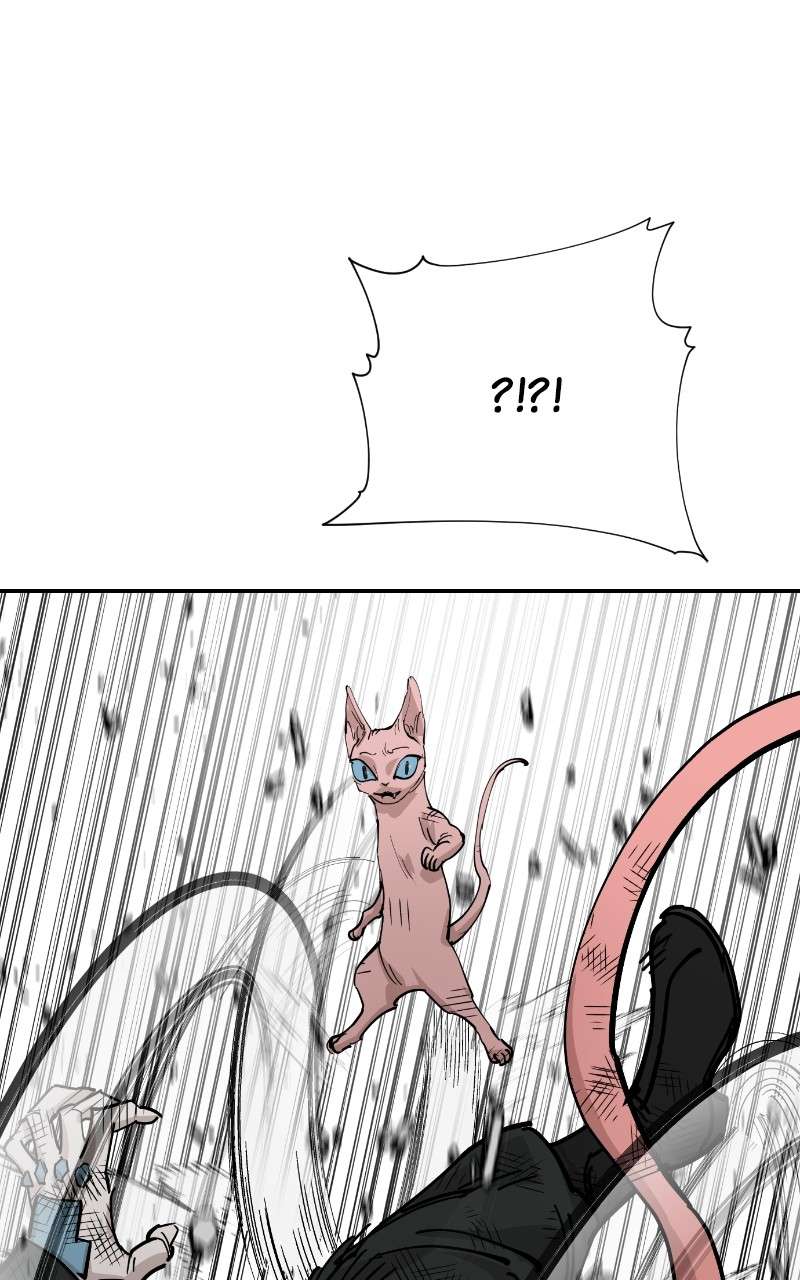 Read Meow Rangers Manga Online