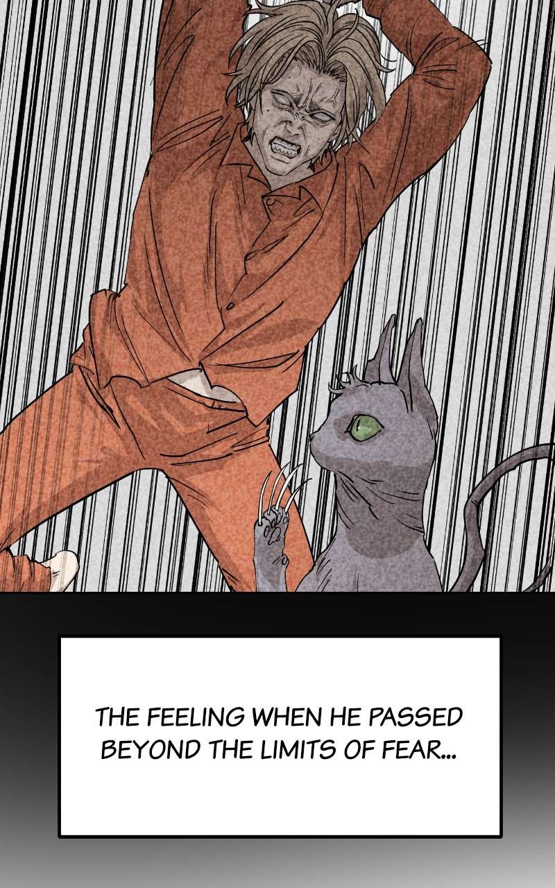 Read Meow Rangers Manga Online