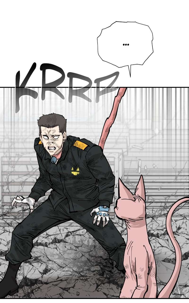 Read Meow Rangers Manga Online