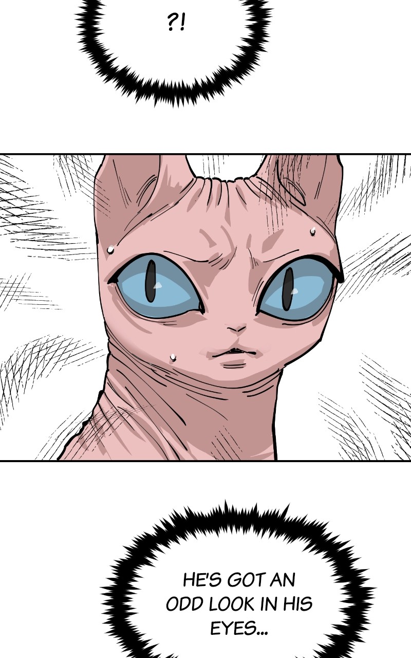 Read Meow Rangers Manga Online