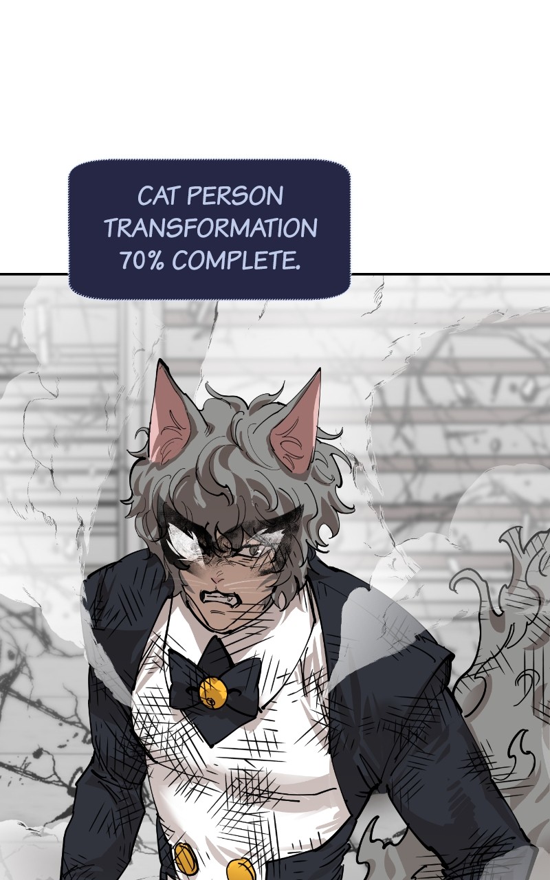 Read Meow Rangers Manga Online