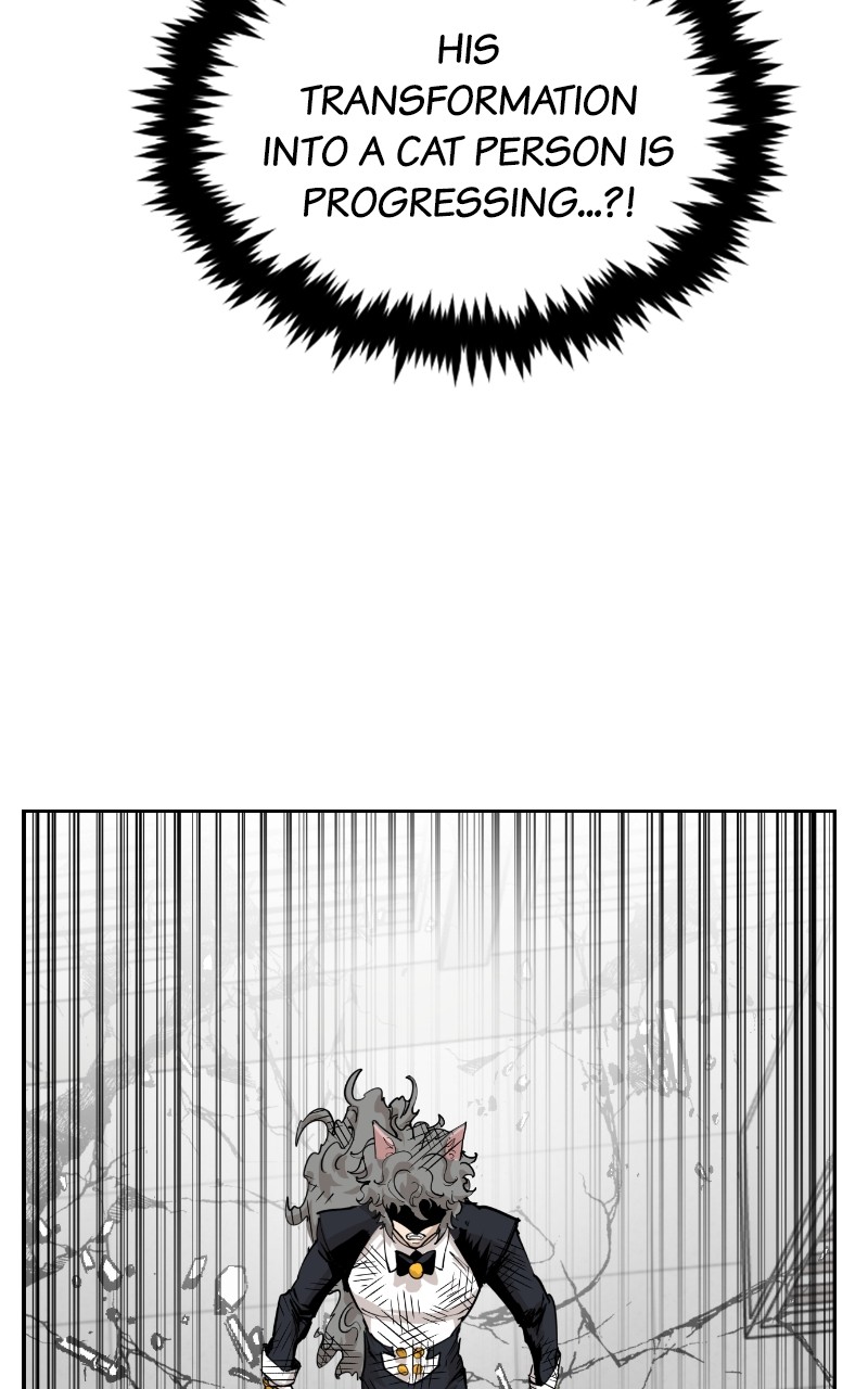 Read Meow Rangers Manga Online