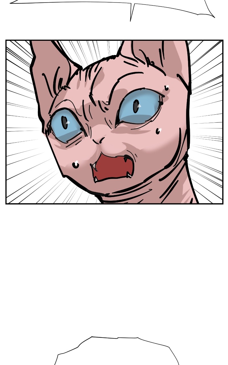 Read Meow Rangers Manga Online