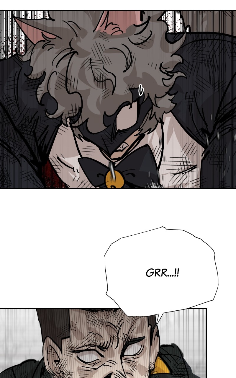 Read Meow Rangers Manga Online