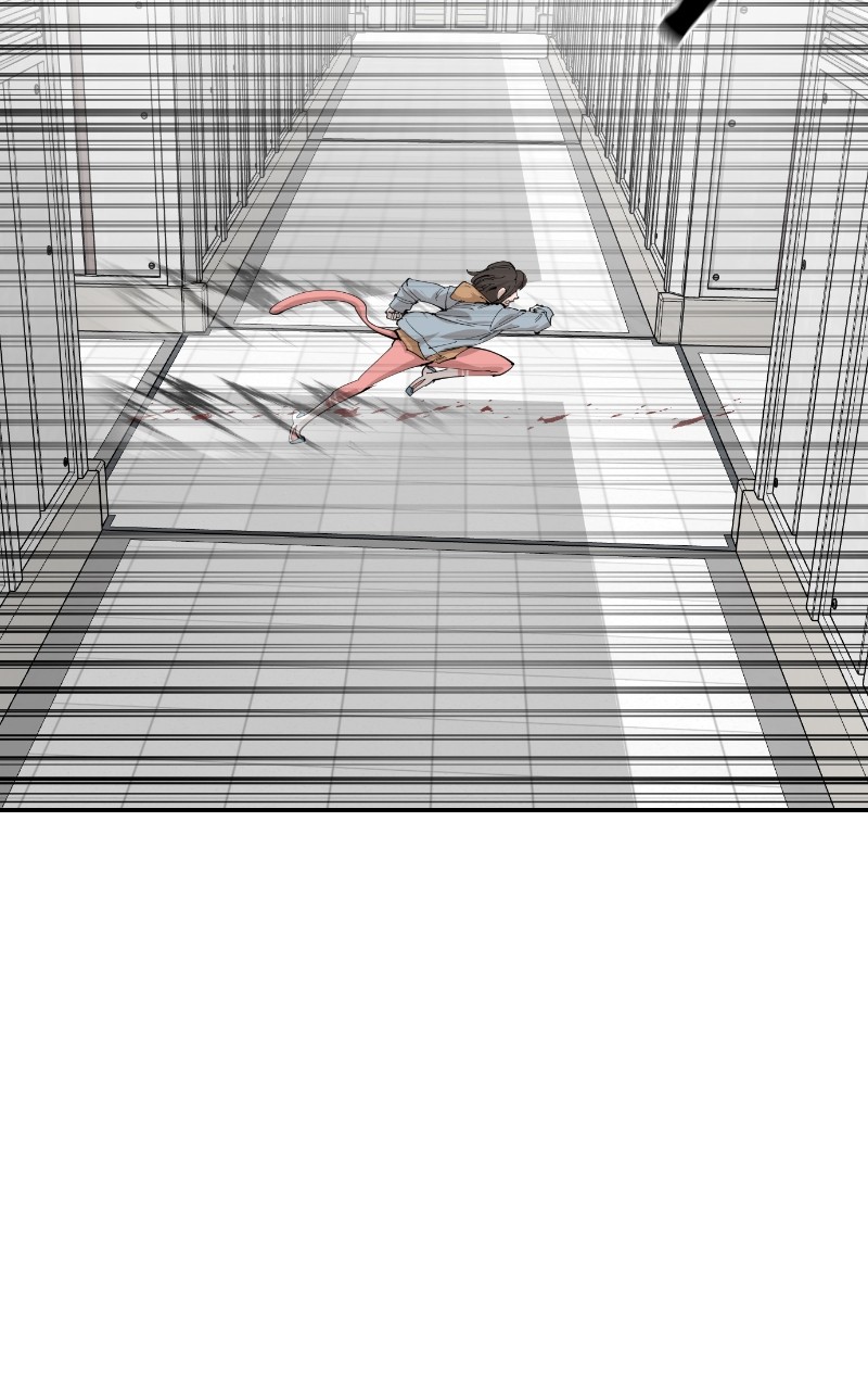 Read Meow Rangers Manga Online