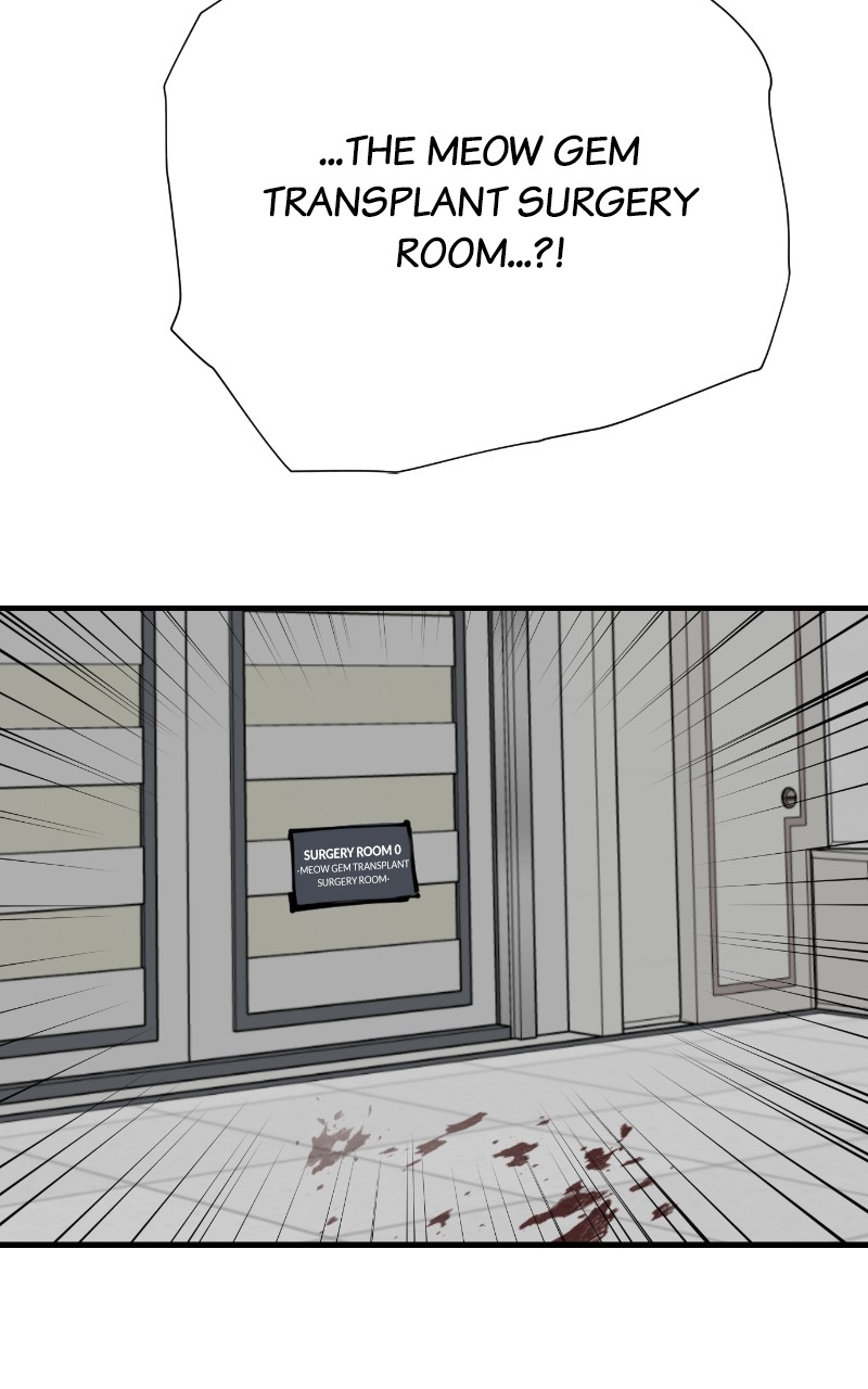 Read Meow Rangers Manga Online