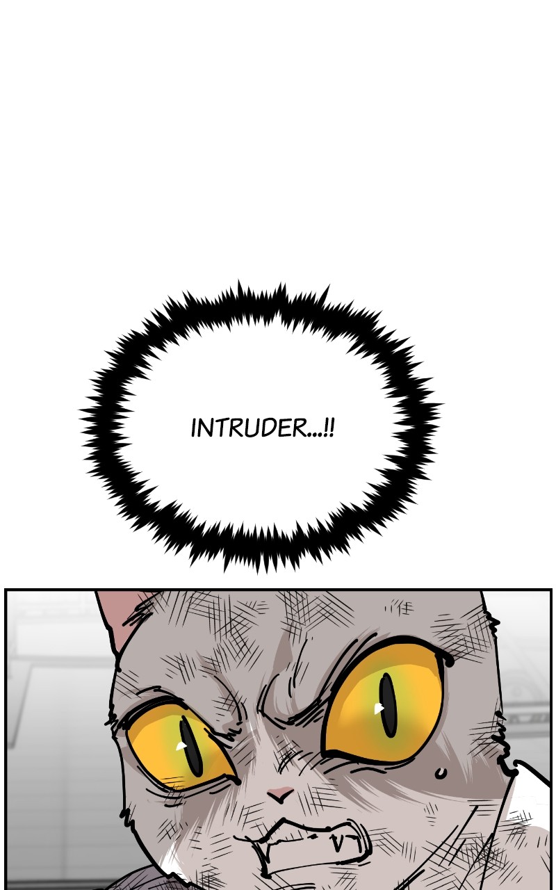 Read Meow Rangers Manga Online