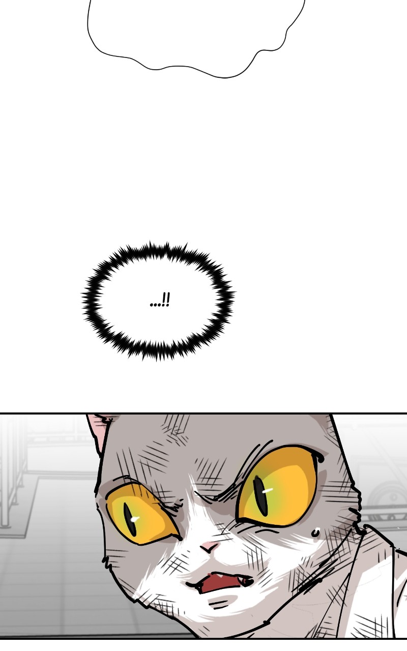 Read Meow Rangers Manga Online