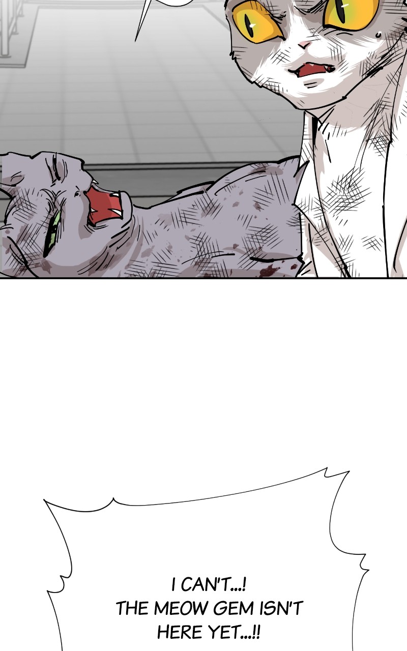 Read Meow Rangers Manga Online