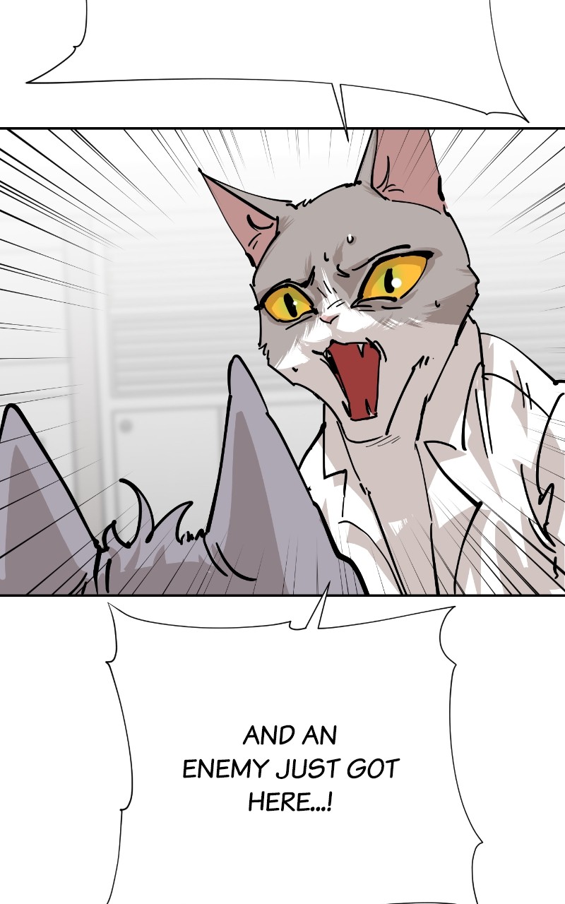 Read Meow Rangers Manga Online