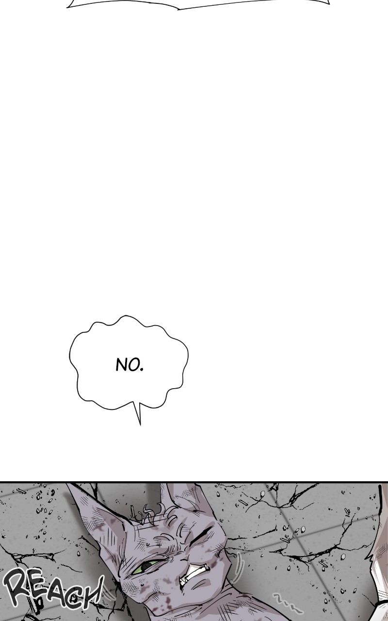 Read Meow Rangers Manga Online