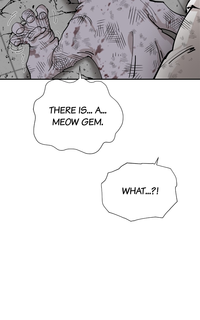 Read Meow Rangers Manga Online