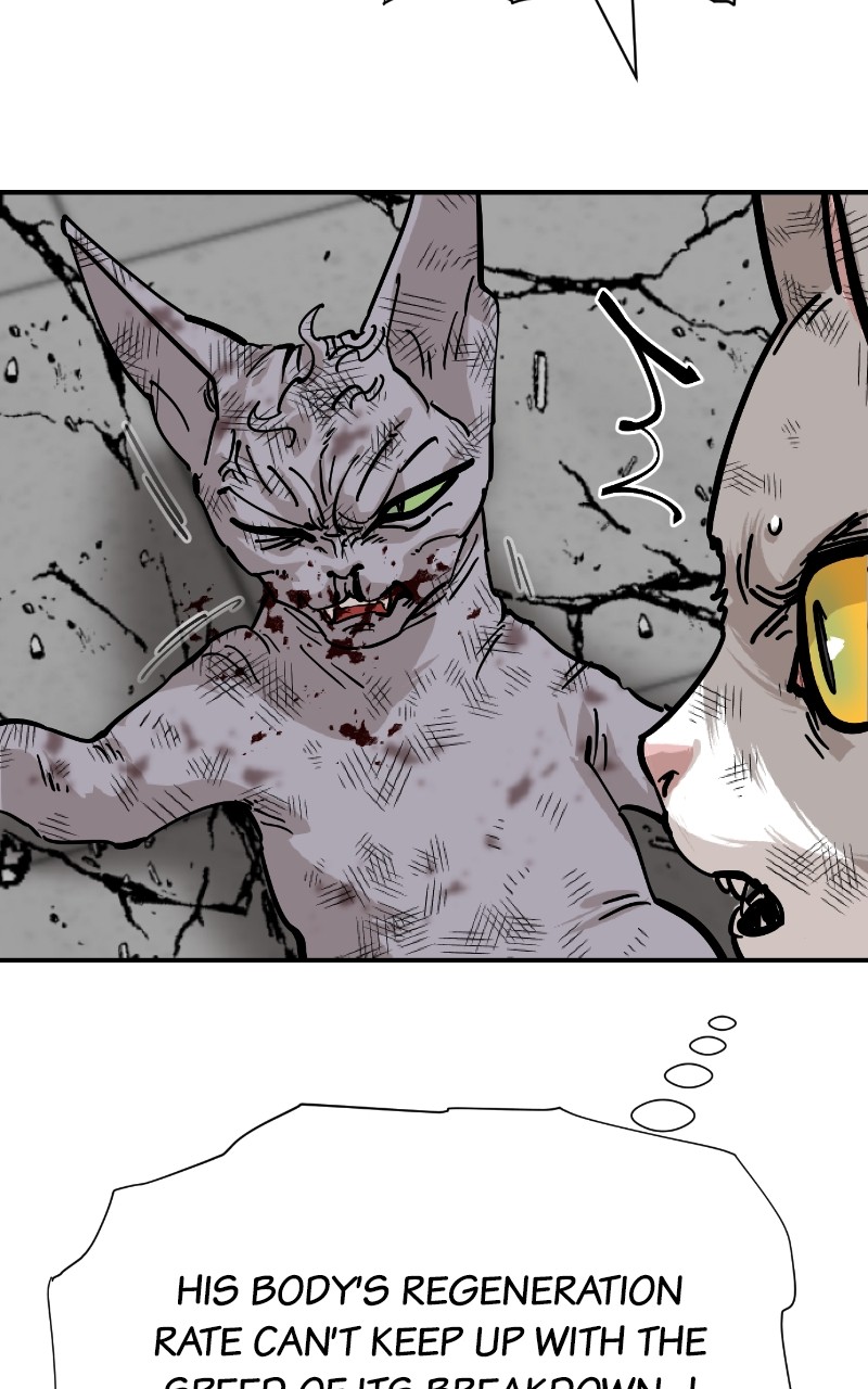 Read Meow Rangers Manga Online