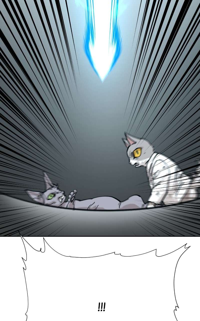 Read Meow Rangers Manga Online