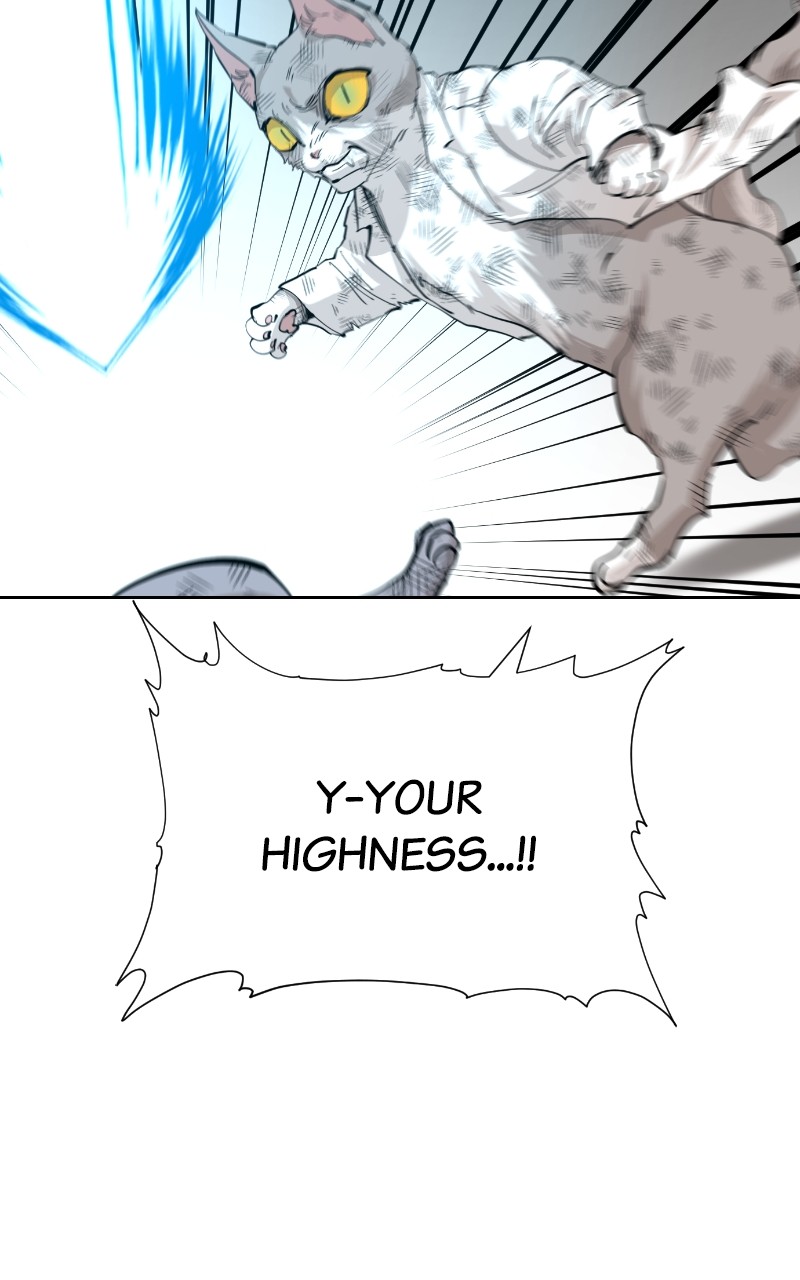 Read Meow Rangers Manga Online